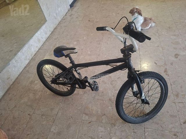 אופני ילדים
