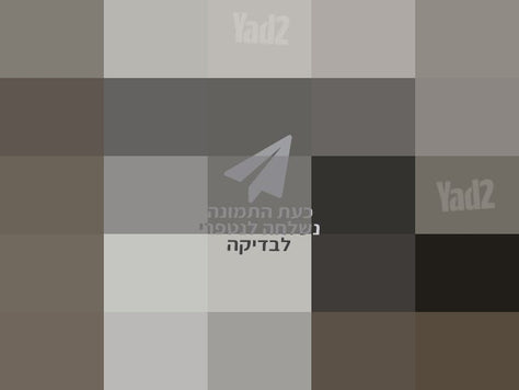 זוג מיטות יהודיות מפוארות