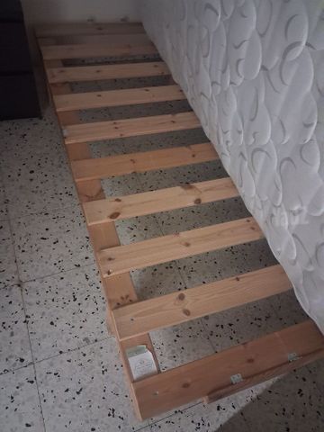בסיסי מיטה