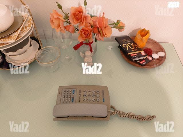 טלפון נייח במצב מצויין.