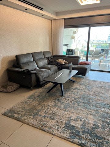 שטיח מודרני יוקרתי 2.90×1.60