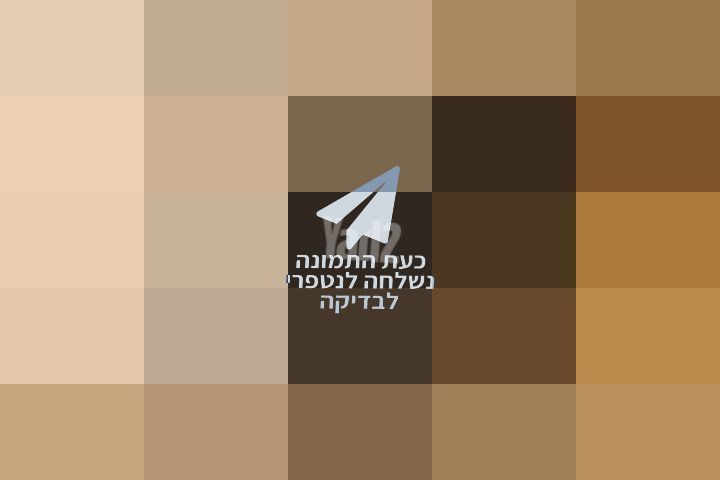 עגלת דונה
