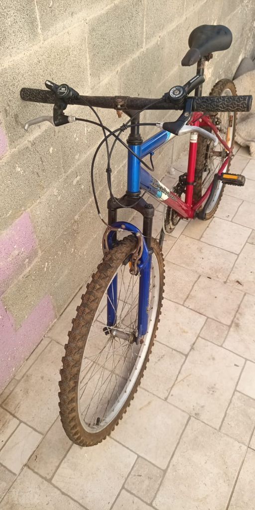אופניים