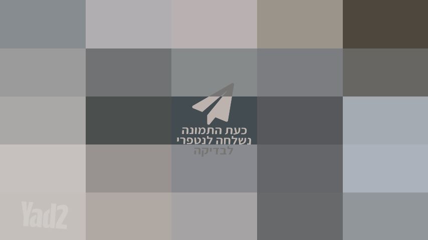 דיסיק חיתוך מקיטה "מקורי"