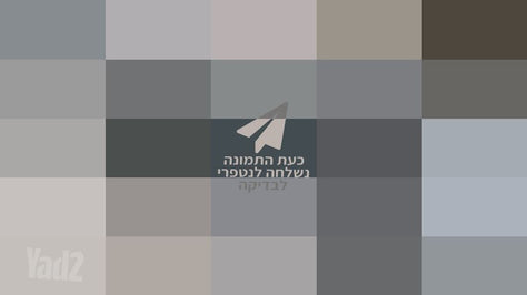 דיסיק חיתוך מקיטה "מקורי"