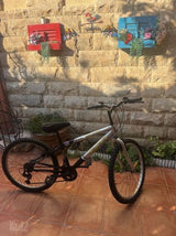 אופני הרים 24