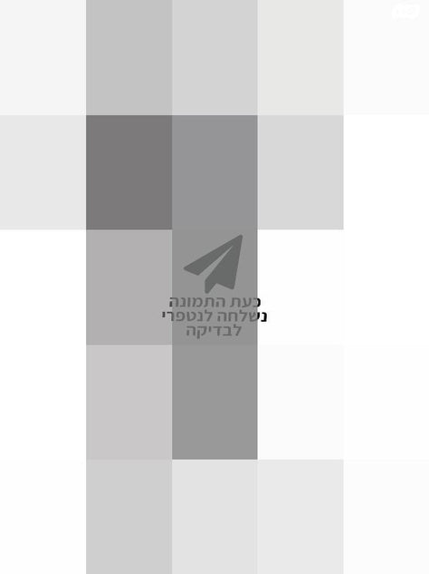 גימבל Zhiyun-Tech WeeBill S