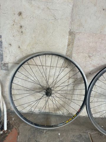 גלגלים מידה 26
