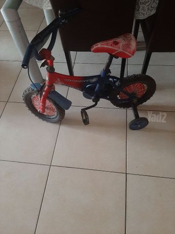 אופנים מידה 12