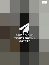 גיטרה