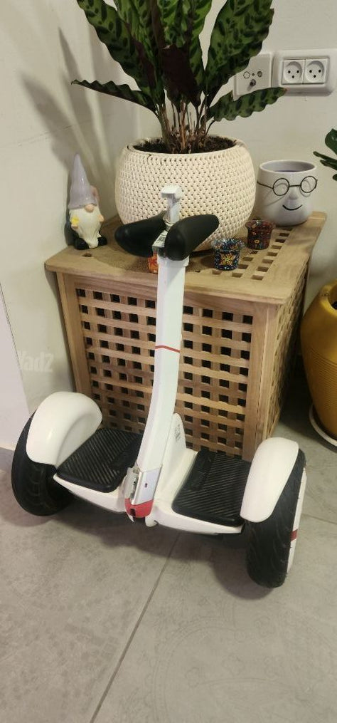 מיני סגווי