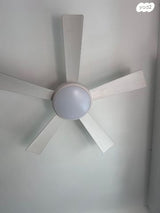 מאווררי תקרה