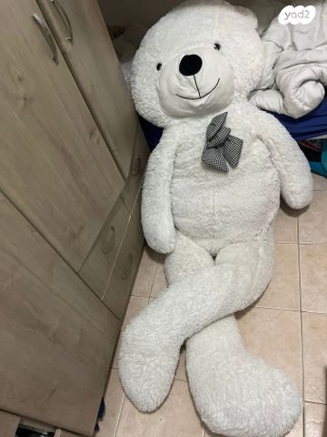 דובי 2 מטר