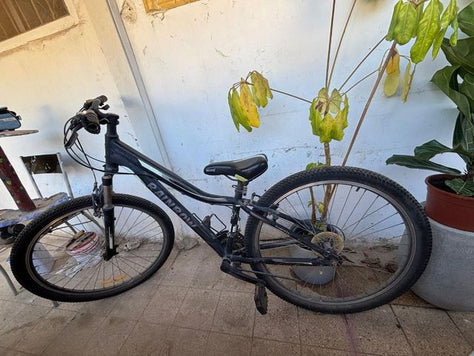 אופניים