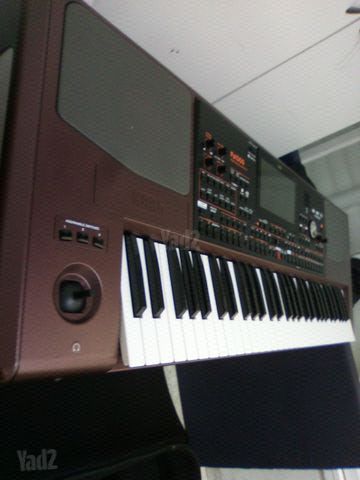 אורגן קורג KORG PA 1000