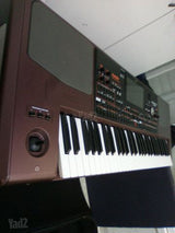 אורגן קורג KORG PA 1000