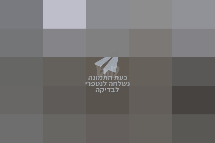 שולחן
