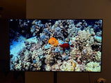 LG OLED 48