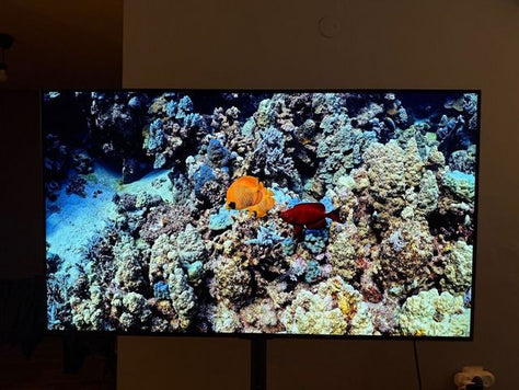 LG OLED 48
