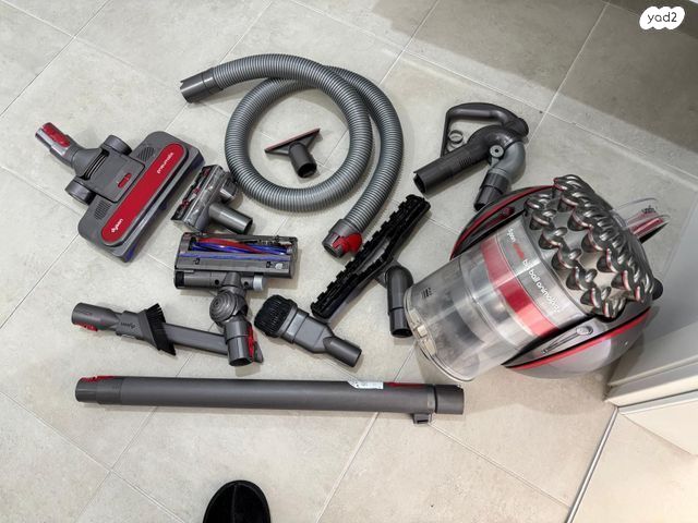 dyson Bigball animalpro 2
