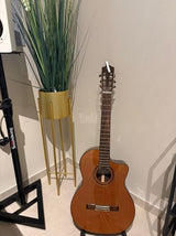 Cordoba C7-CE,