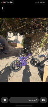 אופניים חשמלי 48v 21a