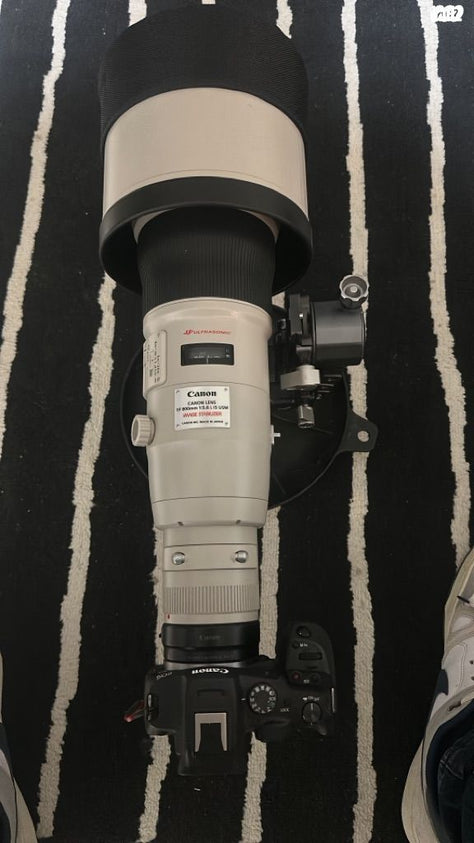 Canon 800 mm 5.6 ef