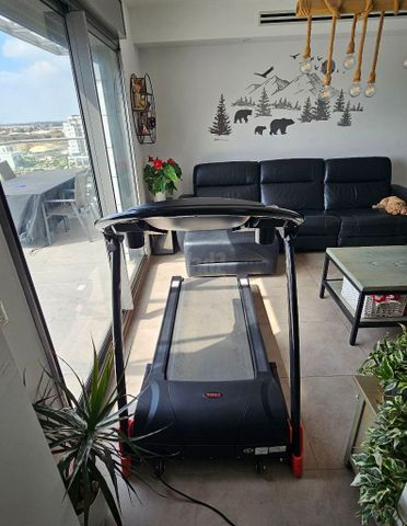 הליכון חשמלי 540 York Polaris