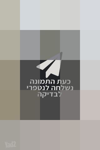מגרסת נייר