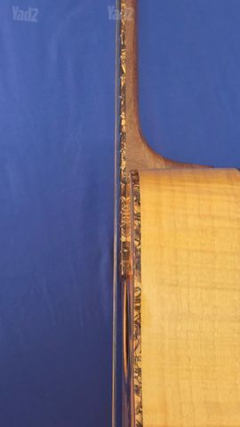 גיטרה Washburn D12S MEL+ נרתיק