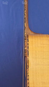 גיטרה Washburn D12S MEL+ נרתיק
