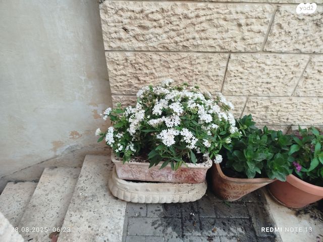 2  אדניות  אבן
