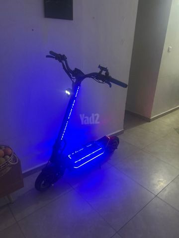 פיטר מיני