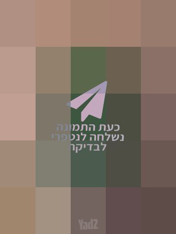 נגן טייפון (typhoon) חדש