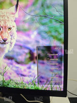 מסך 4K,דגם LG 27UL500-W