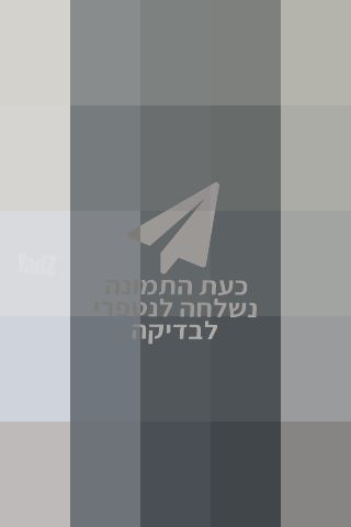 דלת כניסה