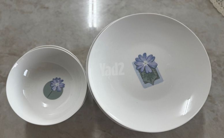סט אוכל בשרי