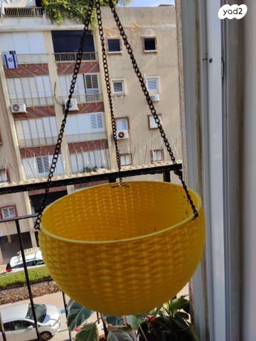 עציצים