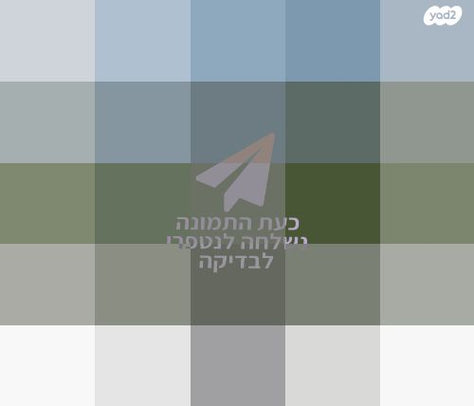 מסך 23.8" DELL IPS P2421DC QHD