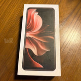 25 Ultra china