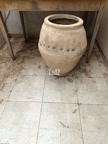כד