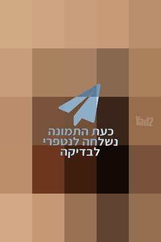 גיטרה