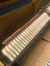 STEINWAY