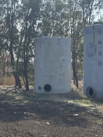 מיכל פיבר