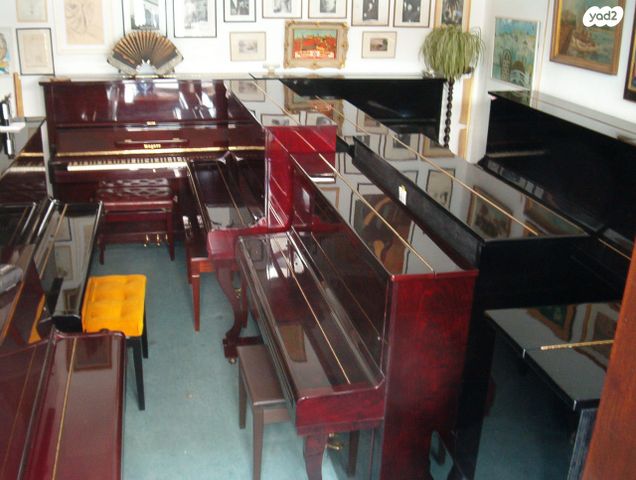 קראוס ברלין לבן