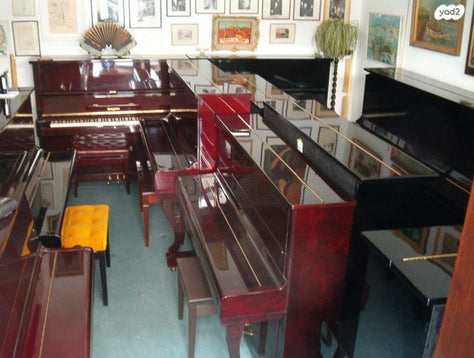 קראוס ברלין לבן