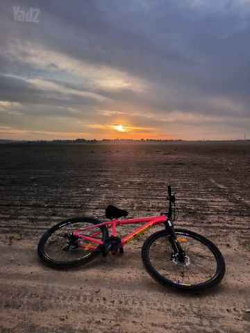 אופני הרים DIAMONDBACK 29