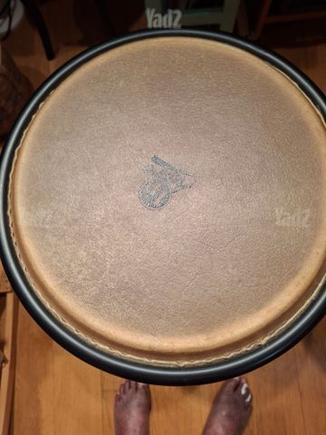 זוג קונגס LP ASPIRE