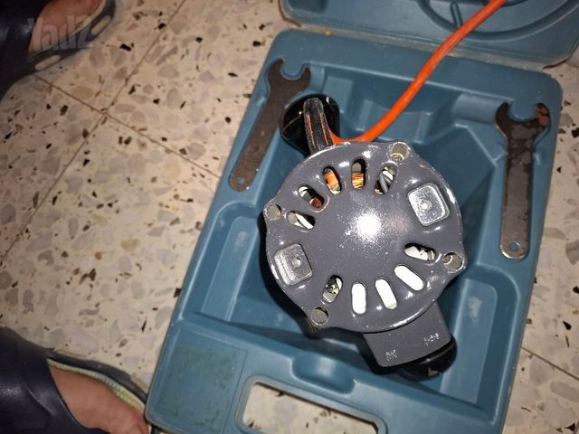רואטר כרסמת