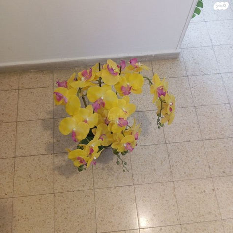 צמח פלסטיק